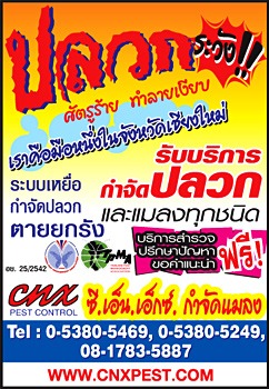 กำจัดปลวก เชียงใหม่ - กำจัดปลวก เชียงใหม่
