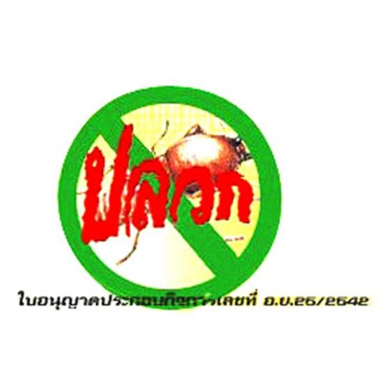 กำจัดปลวก ซี เอ็น เอ็กซ์ เชียงใหม่ - รับฉีดปลวก เชียงใหม่